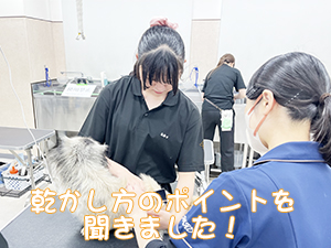 １年生のトリミング実習♪